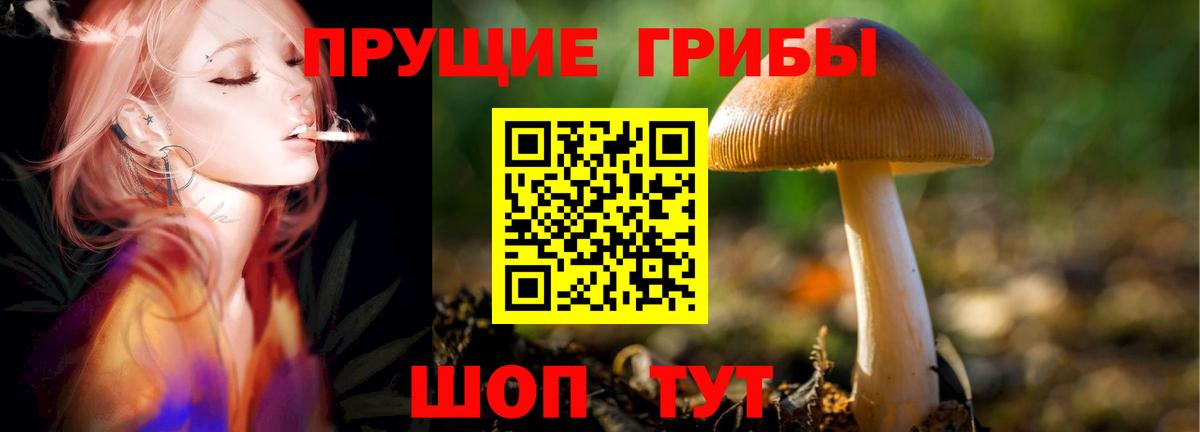 Обнинск  Галлюциногенные грибы MAGIC MUSHROOMS  Вход с VPN 